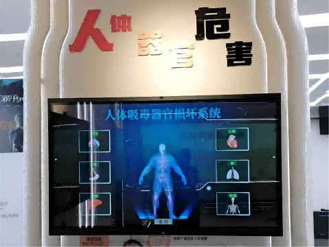 人体吸毒器官损坏系统