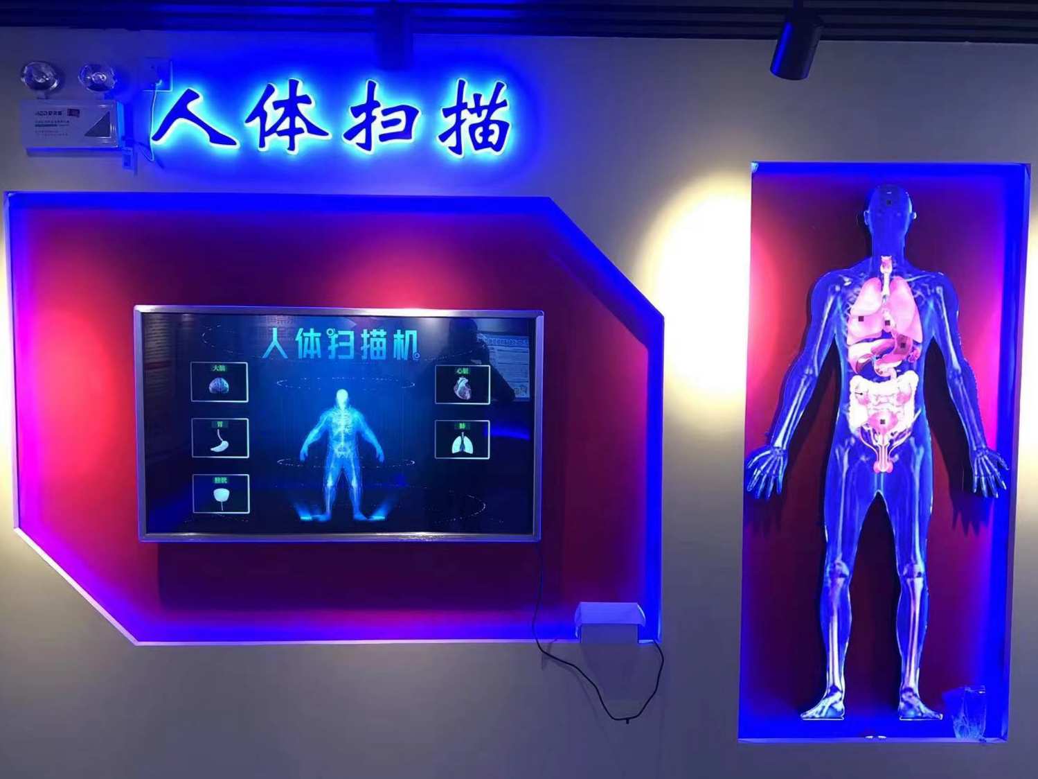 人体扫描器官损坏系统